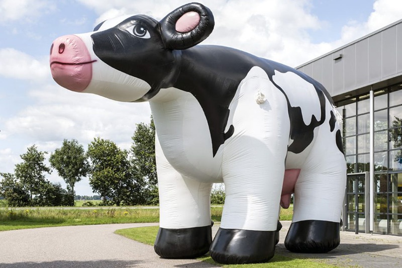 Advertising Party Inflatable Cow