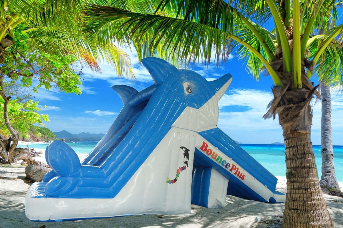 Blue Dolphin Inflatable Double Water Slides