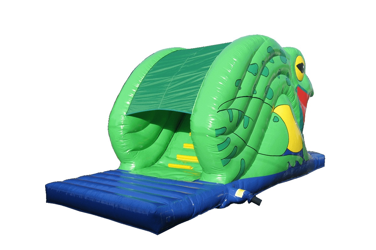 WW047 Frog Inflatable Pool Slide Flow Aqua Session