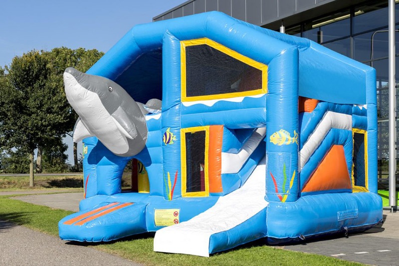 MC081 Multiplay with Roof Dolphin Bouncy Castle