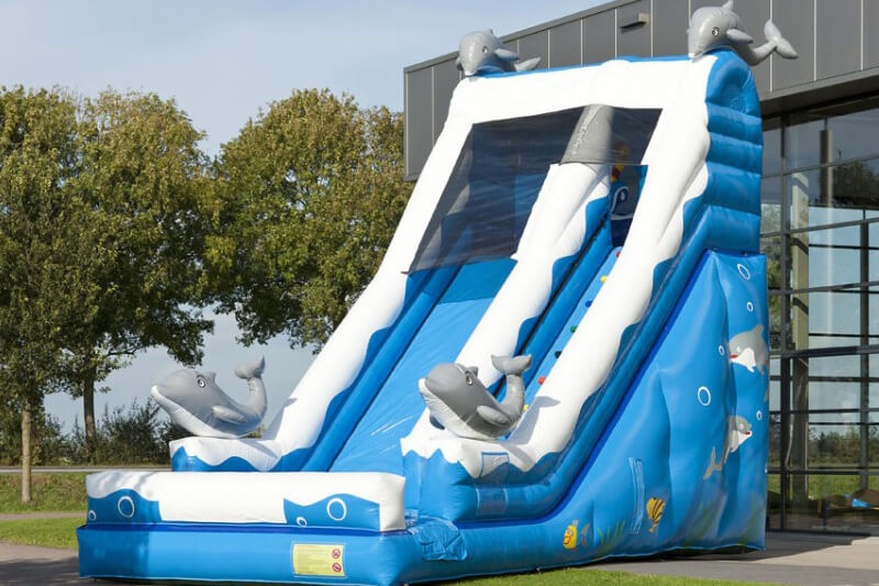MC181 High Quality Large Size Super Dolphin Inflatable Dry Slide