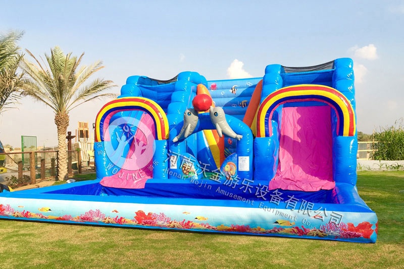 WS034 Sea World Theme Inflatable Water Slide with Pool Set