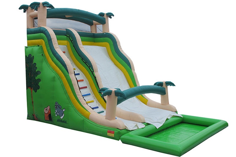 WS059 Large customized inflatable water slides with pool