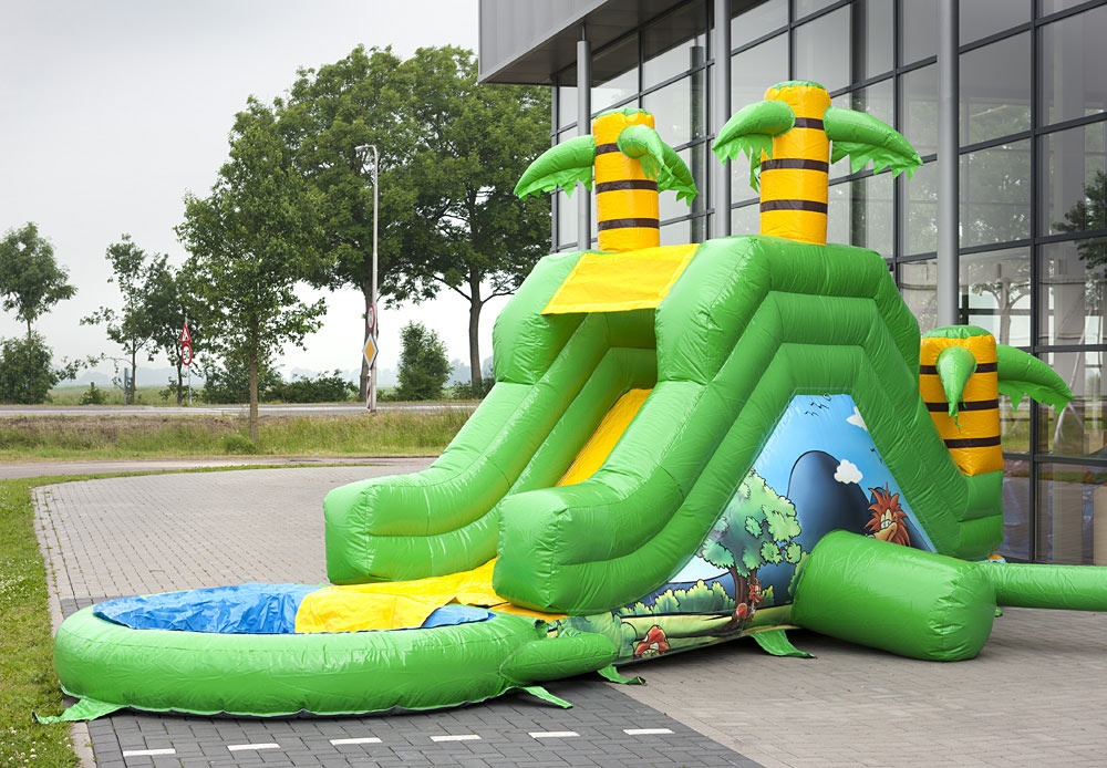 WS011 Jungle inflatable water slide with pool for kids & adults