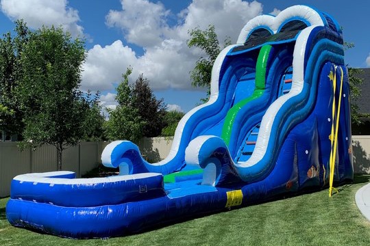 WS021 20Ft Ocean Wave Inflatable Water Slide