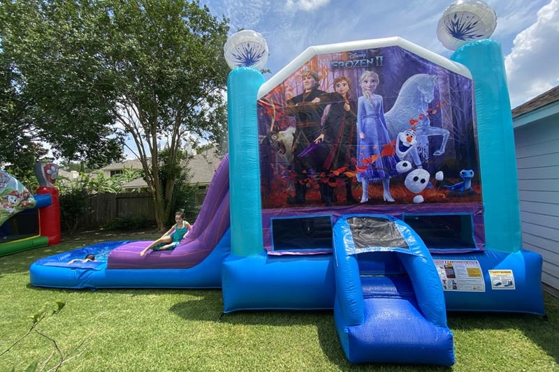 WJ101 Frozen Inflatable Wet Combo Bouncer Slide Pool