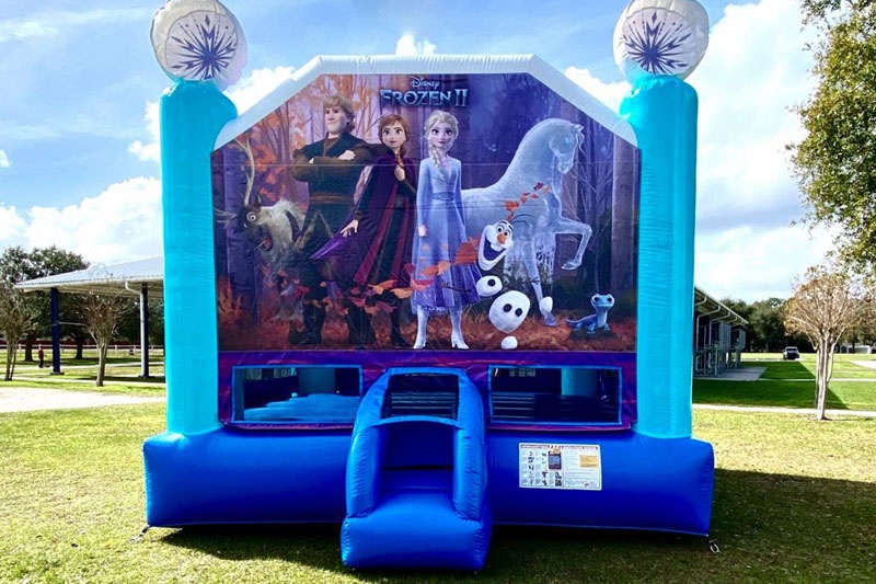 WJ100 Frozen Inflatable Bounce House Jumping Castle