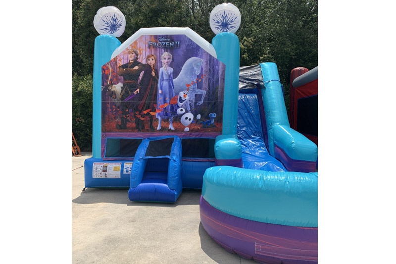 WJ099 Frozen Inflatable Wet Combo Bouncer Slide Pool