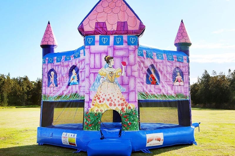 WB030 Disney Princess Jumping Castle Bounce House