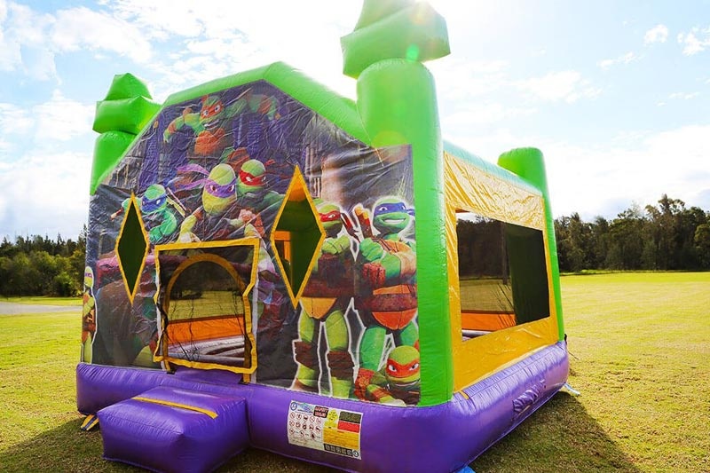 WB036 Teenage Mutant Ninja Turtles Inflatable Bounce House