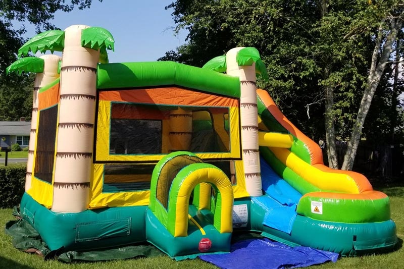 WB067 Tropical Inflatable Combo Bouncer Castle With Wet/Dry Slide