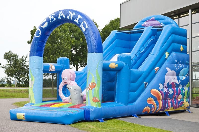DS019 Ocean Theme Inflatable Dry Slide