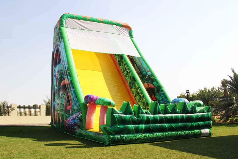 DS063 33FT Fairy Land Slide Inflatable Dry Slide
