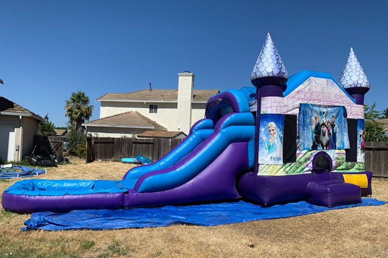 WB186 Frozen Inflatable Wet Combo Water Slide with Pool