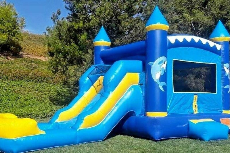 WB199 Blue Dolphine Inflatable Combo with water slide and pool