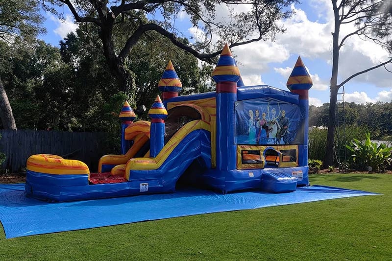 WB222 Frozen Inflatale Wet Combo Jumping Castle and Bounce Slide