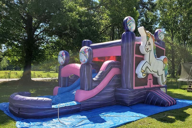 WB240 Unicorn Inflatable Bounce Combo with Pool Wet Slide