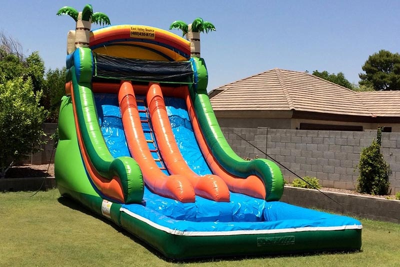 WS130 Palm Tree Inflatable Water Slide with Pool