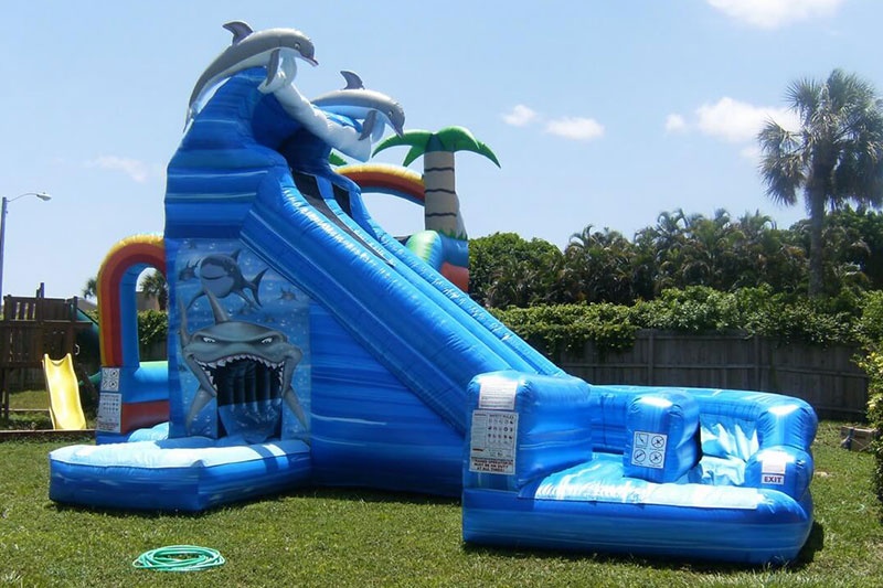 WS125 20ft Tall Dual Lane Inflatable Water Slide