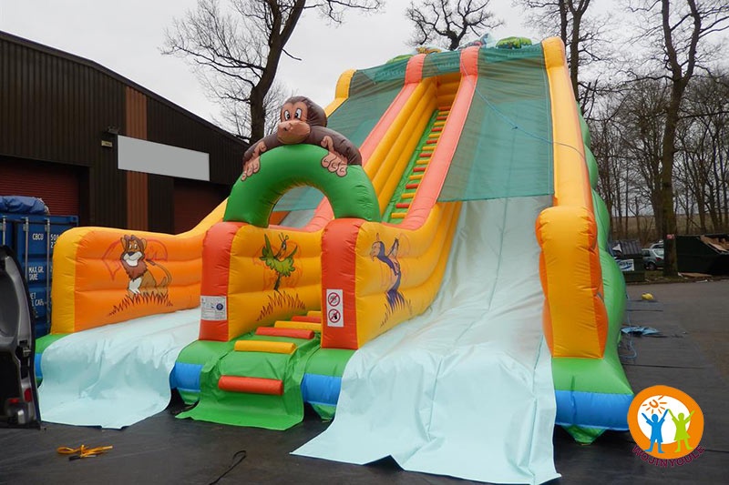 DS115 Toboggan 33ft Mickey Jungle Inflatable Dry Slide