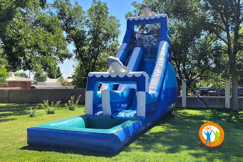 WW149 Dolphin Inflatable Water Slide with Pool