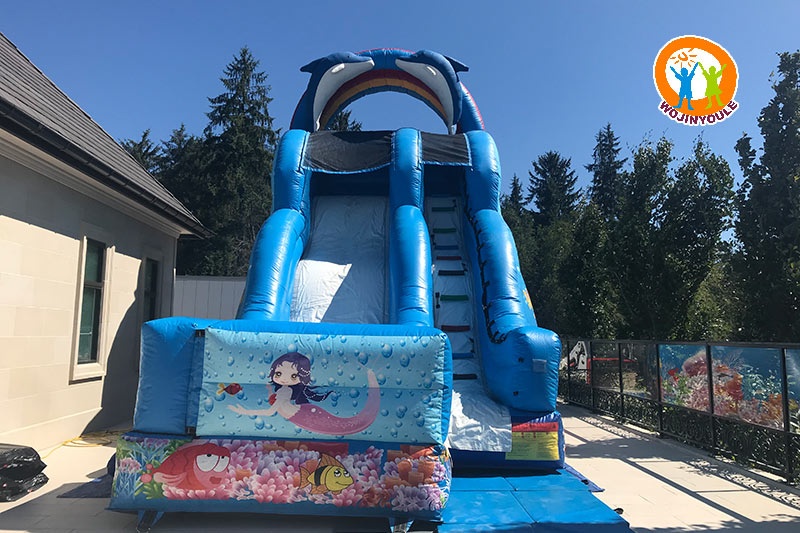 DS141 20ft Tall Dolphin Inflatable Dry Slide