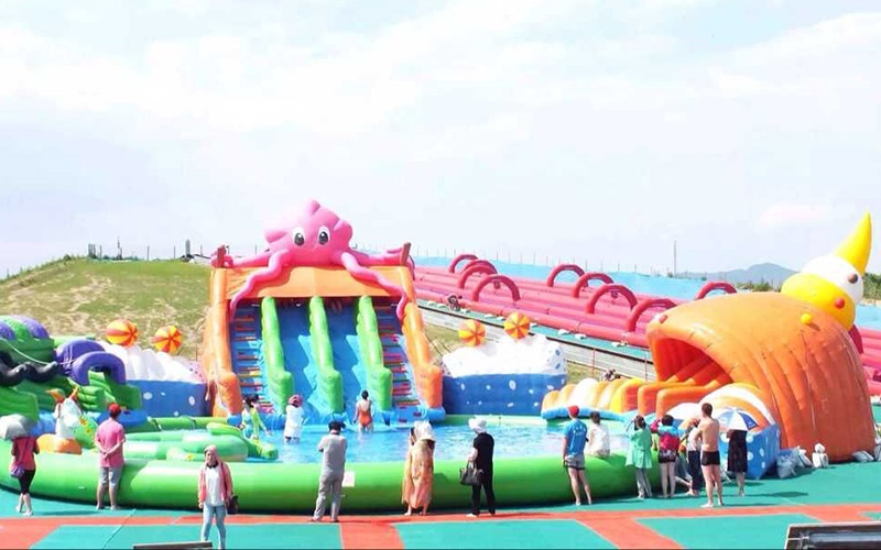 GP015 Large Octopus Water Park Wave Slide wl Pool