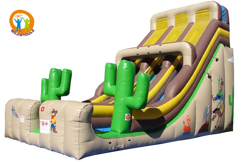 DS169 24ft Western Double Lane Inflatable Dry Slide
