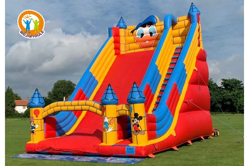 DS180 30ft Duck Theme Inflatable Dry Slide