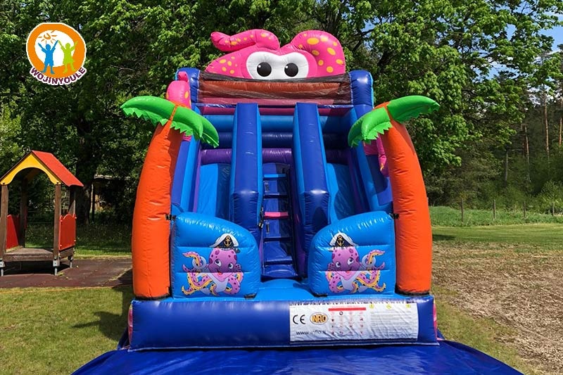 DS194 New Octopus Inflatable Dry Slide Attraction