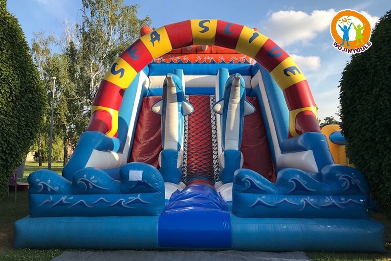 DS208 Sea Dolphin Double Lane 20ft Inflatable Dry Slide