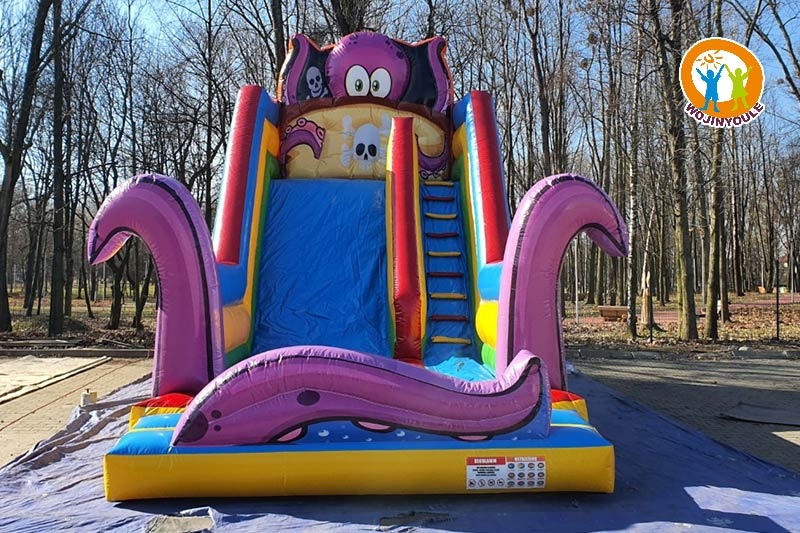 DS025 20ft Tall Pink Octopus Inflatable Dry Slide