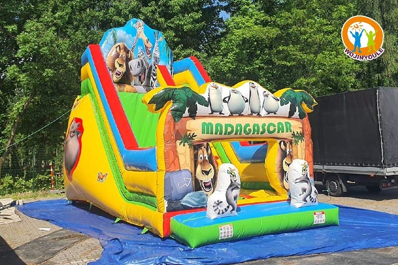 DS051 20ft Tall Madagascar Inflatable Dry Slide