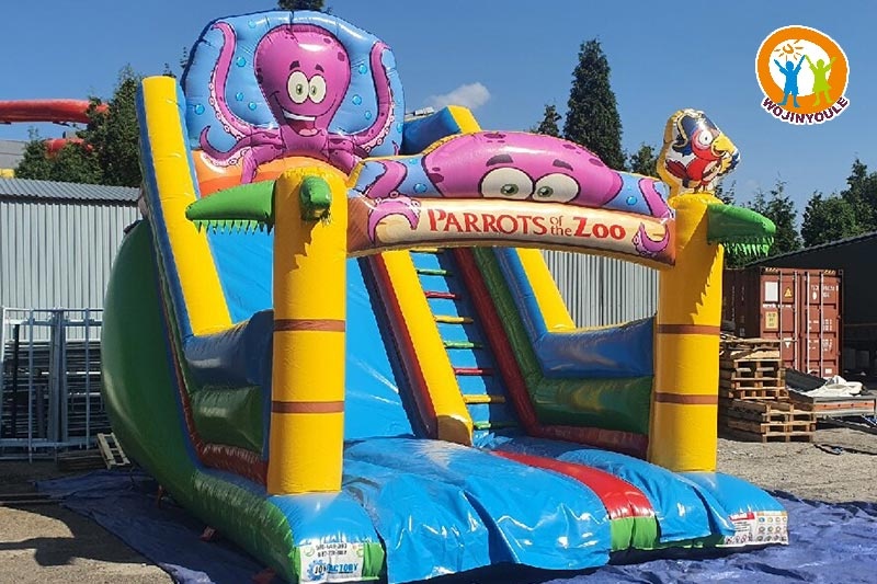 DS052 20ft Tall Parrots of ZOO Inflatable Dry Slide