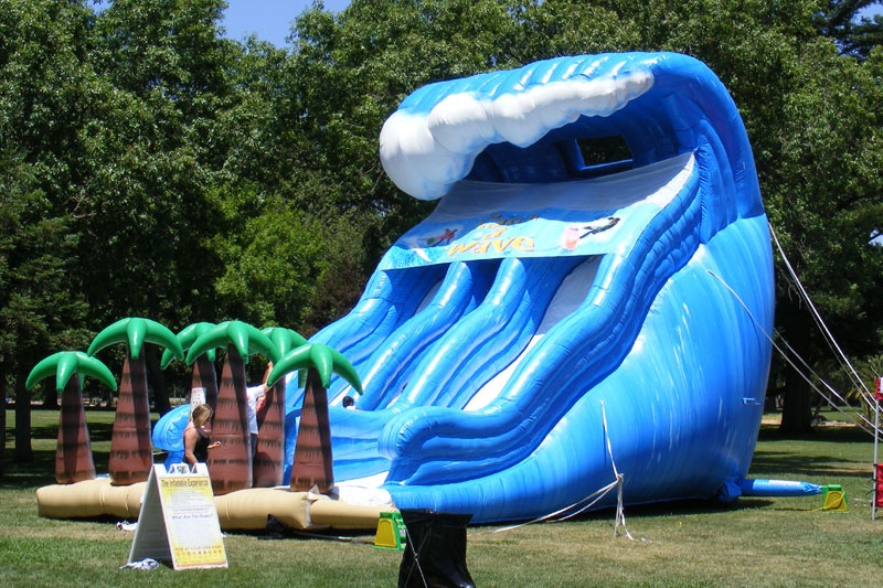 DS003 27ft Tall Dual Lane Wave Slide Inflatable Slide