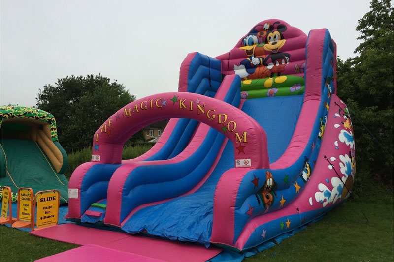 DS074 20FT Mouse Themed Inflatable Mega Slide Dry Slide