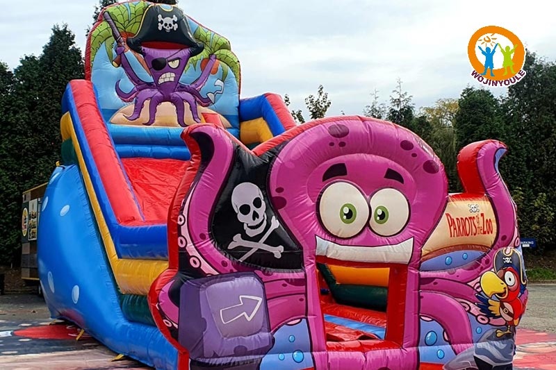DS053 20ft Tall Parrots of ZOO Inflatable Dry Slide