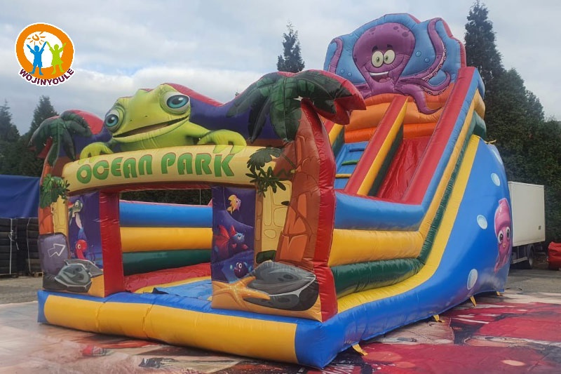 DS057 20ft Tall Ocean Park Inflatable Dry Slide